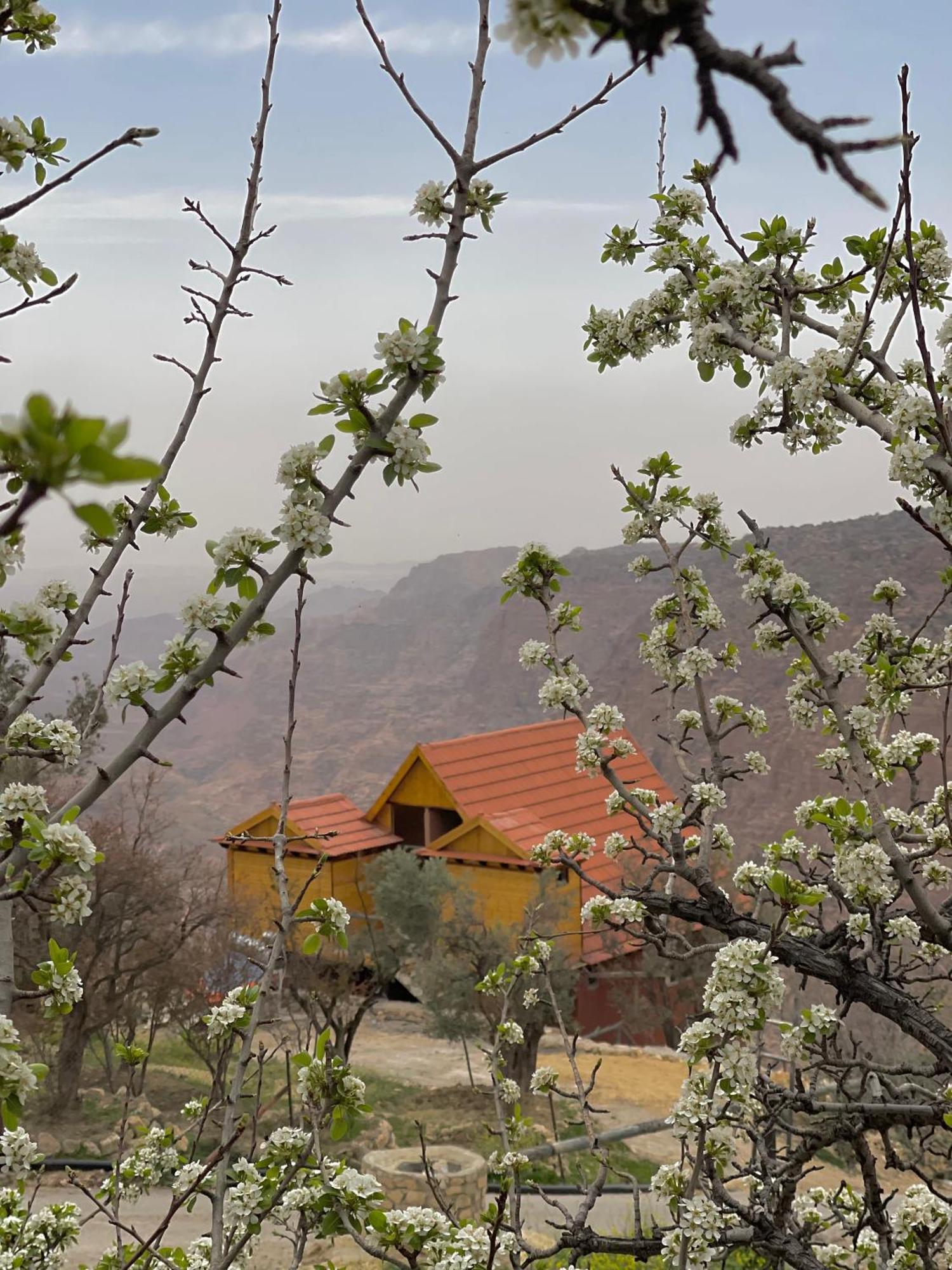 Dana Luxury Huts Ξενοδοχείο Εξωτερικό φωτογραφία